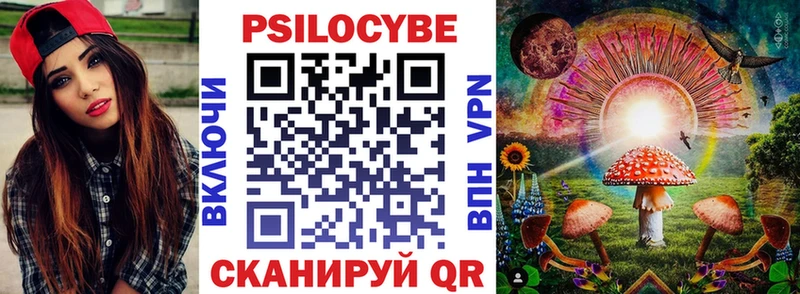 Галлюциногенные грибы Psilocybe  Покачи 